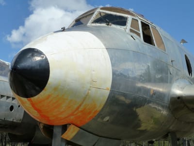 P1010433 re6nen - Eugenol