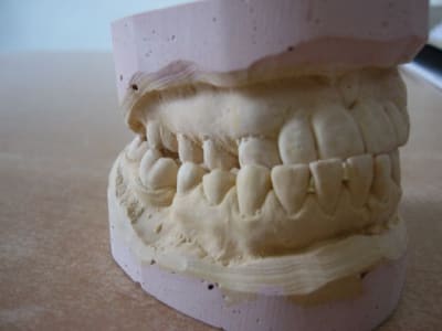 P1010541 hdtbtc - Eugenol