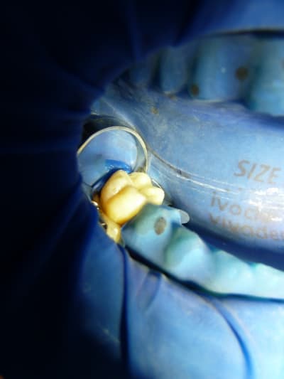 P1010556 av86ih - Eugenol