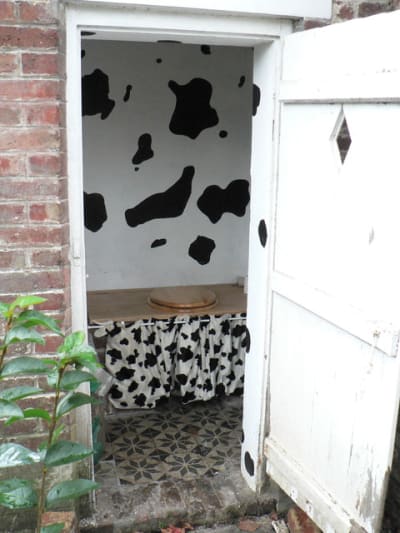 P1020303 ypggdq - Eugenol