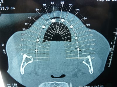 P1050001 m2ljnp - Eugenol