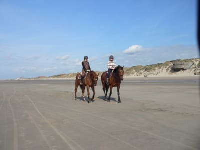 P1120545 inluhs - Eugenol