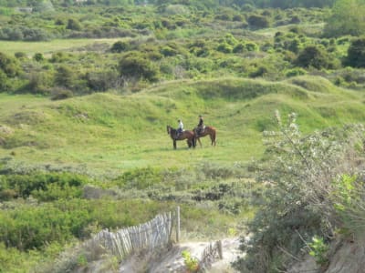 P1120651 twrlea - Eugenol