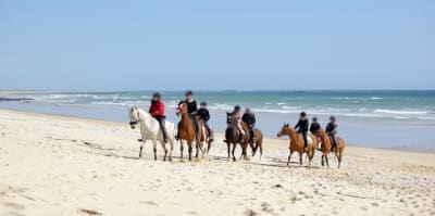 Ploc31 n9skdo - Eugenol