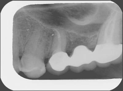 Pria6 qdhtzp - Eugenol