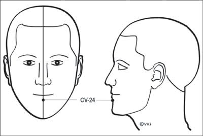 Point cv24 qwuxvv - Eugenol