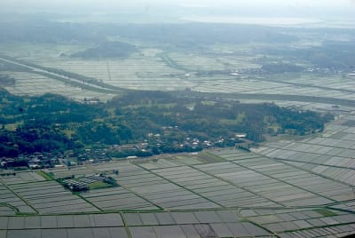 Rz1 f2boyz - Eugenol