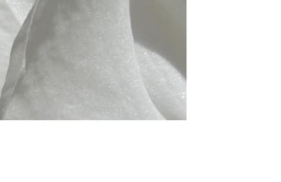 Sans titre c55syp - Eugenol