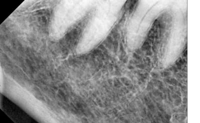 Sans titre fuv26n - Eugenol