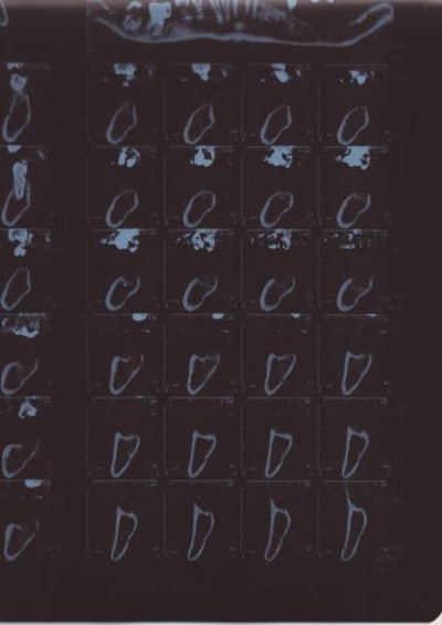Scan10036 i9313g - Eugenol