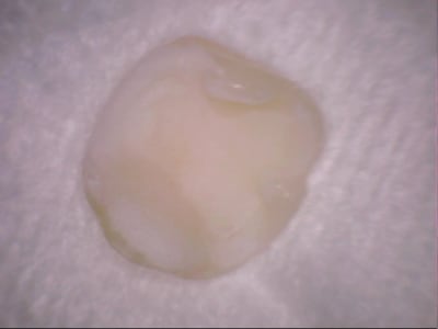 Stillcap0029 sohajl - Eugenol