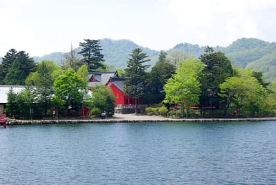 Tk  11  bhhqav - Eugenol