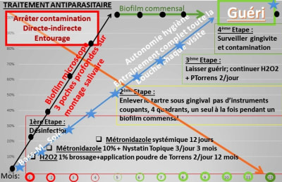 Traitement antiparasitaire jcsh79 - Eugenol