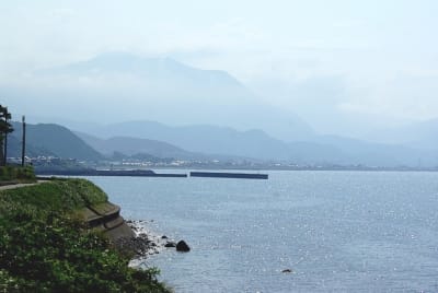 Zbt  11  xtc4dj - Eugenol