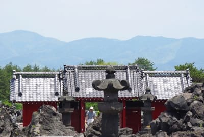 Zbt  6  ladzvl - Eugenol