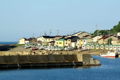 Zbt  8  wnb9hr - Eugenol