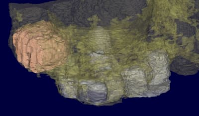 Armand 3d1 vflues - Eugenol