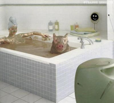 Bain cochon x6jodt - Eugenol