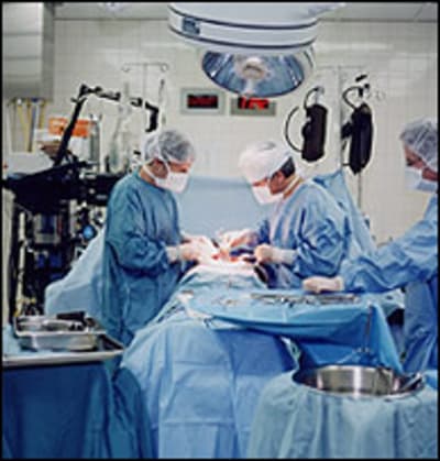 Cabinet egjbvr - Eugenol