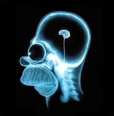 Cagagne motrdh - Eugenol