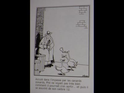Canard 640x480 rnqumc - Eugenol
