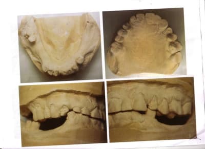 Cas5 hzbwsd - Eugenol