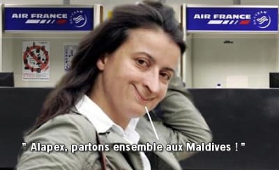 Cecipex e1uyvm - Eugenol