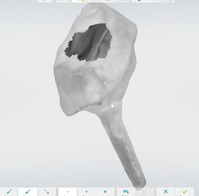 Charles 2 ajfbnx - Eugenol