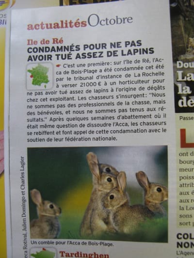 Chasse c4r2n4 - Eugenol