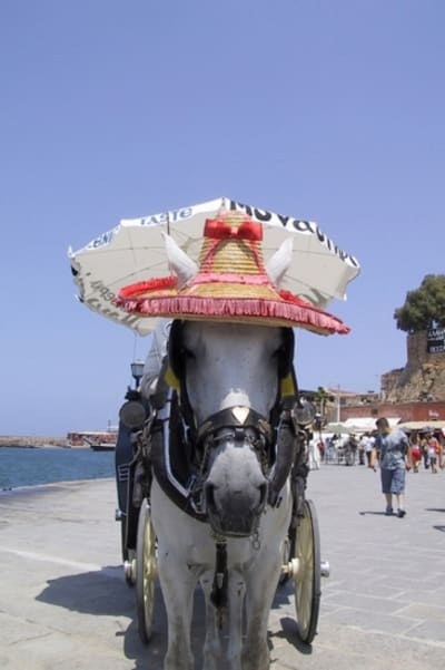 Cheval mer canee crete france 509144 ka71tf - Eugenol