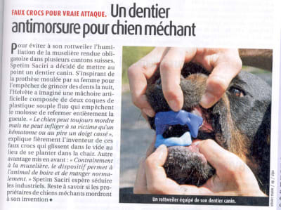 Chiens xvxgez - Eugenol