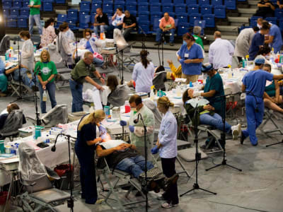 Clinique mobile 620x465 f21l3x - Eugenol