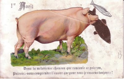 Cochon avril 01 mfuuov - Eugenol