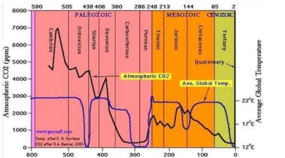Courbes ppdopr - Eugenol