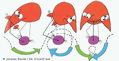 Cycle ishtme fdwijf - Eugenol