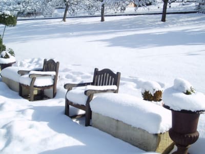 Décembre dkam4u - Eugenol