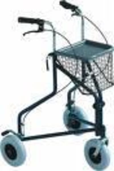 D ambulateur pour faire ces petites courses tedw40 - Eugenol