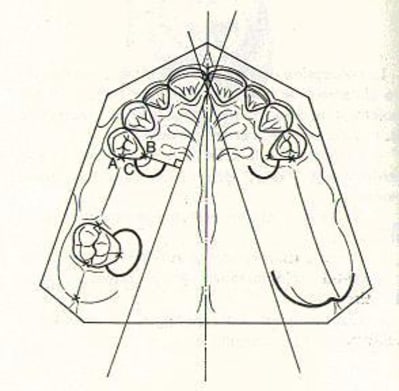 Decolletage ynqwyz - Eugenol