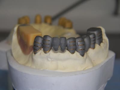 Detail chassis wsdsgb - Eugenol