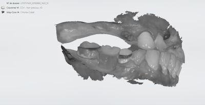 Duss1 ppbprt - Eugenol