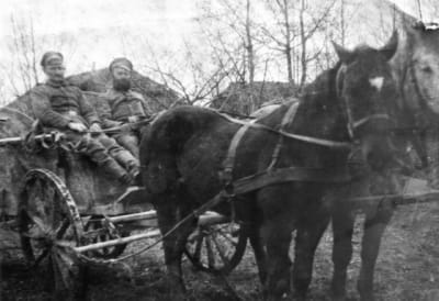 En russie 16 egqruw - Eugenol