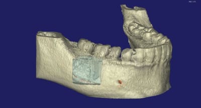 Felicia 3d8 ixnxtl - Eugenol