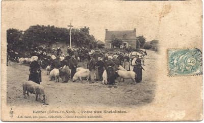 Foire aux cochons 22socialistes 22 vwffiq - Eugenol