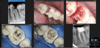 G2ma3y3e6b5rx4bd9m6qzddnxlxx - Eugenol