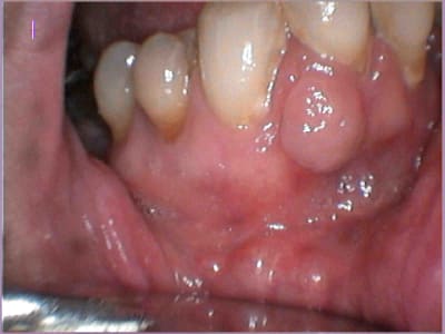 Gjgzbpyrb58tgog220hz - Eugenol