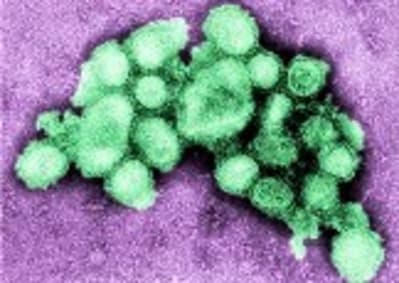 Grippe 450864 tcjbov - Eugenol