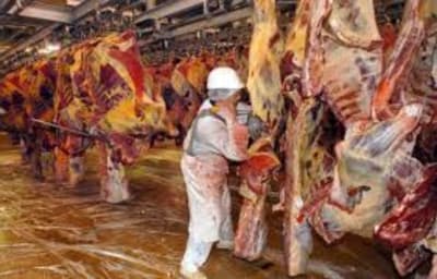 Images fpxrvm - Eugenol