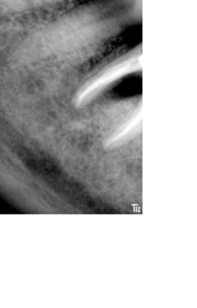 Jpostop1an1 dlxxwr - Eugenol