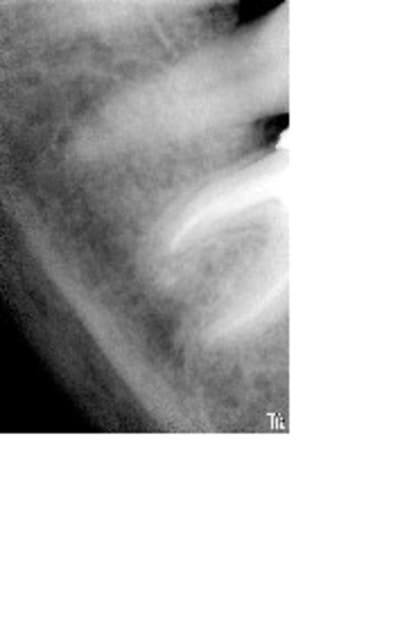 Jpretop ai66vs - Eugenol