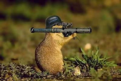 La marmotte est mon amie yrwg8w - Eugenol